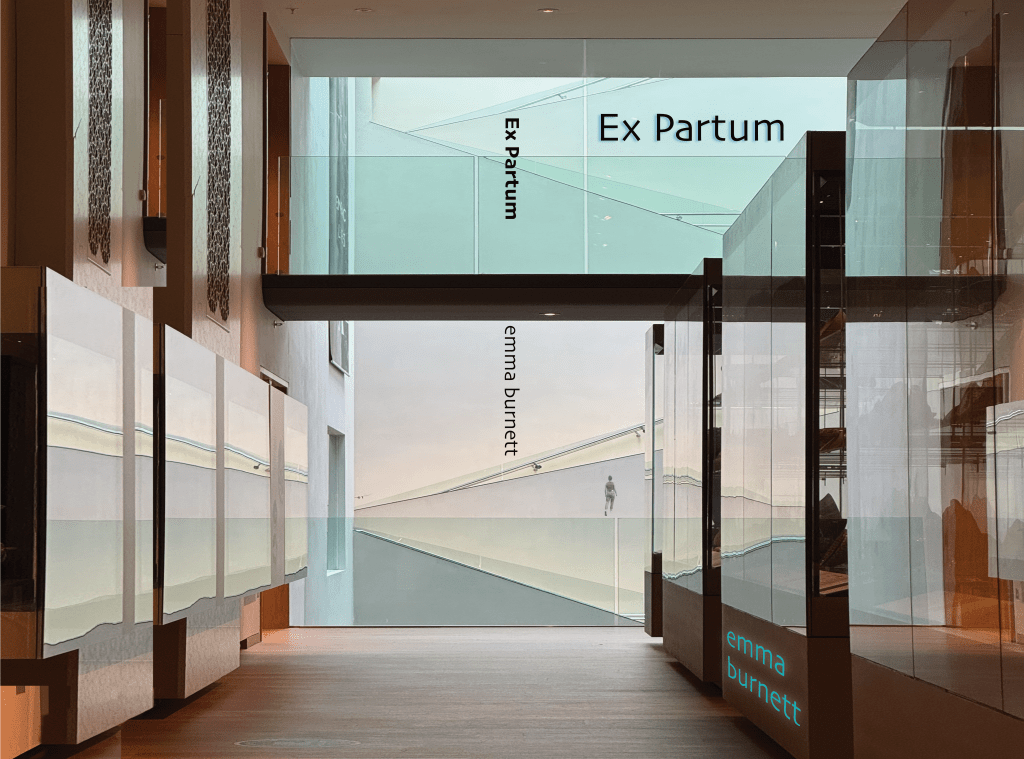 A distant figure is leaving a surreal depiction of an apartment-like space with overlapping glass walls and simple art, each reflecting the other. Text reads: Ex Partum, emma burnett.