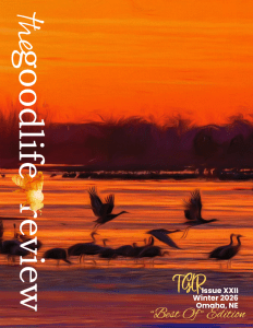 magazine cover features a full-page photograph of cranes flying up and away from a pond. They are backlit, so they're dark outlines, against a bright orange sky. The words "The Good Life Review" and "Issue 22, Winter 2026" are in white text.