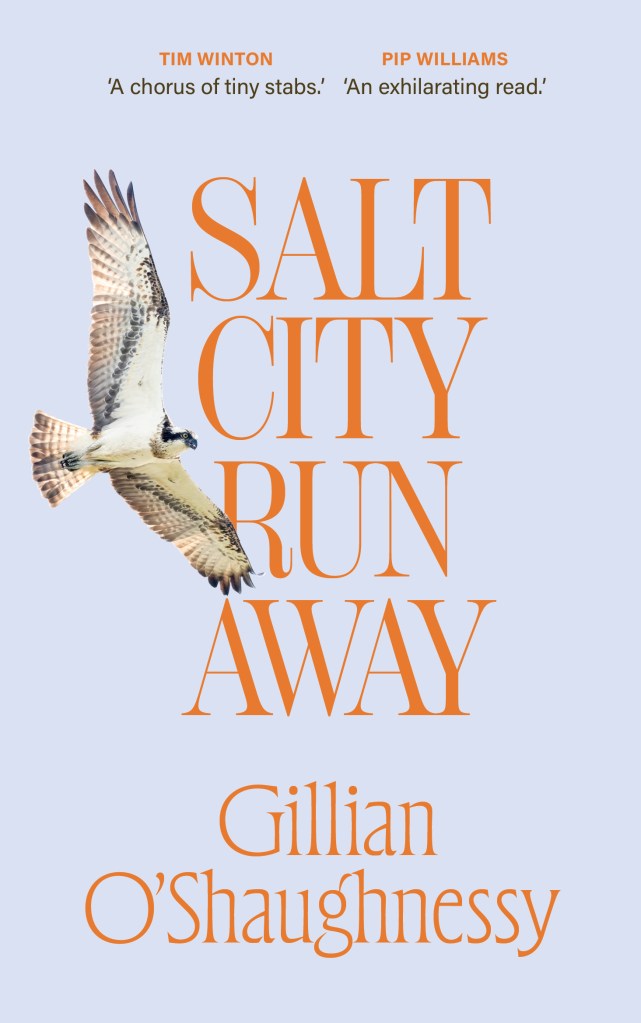 An osprey with wings stretched in flight against a pale blue background. The title of the book, Salt City Runaway is in glossed orange lettering. The author’s name, Gillian O’Shaughnessy is written beneath, also in orange. At the top of the book there are two endorsements. One attributed to Tim Winton, reads ‘A chorus of tiny stabs’, the other, attributed to Pip Williams, reads ‘An exhilarating read.’   